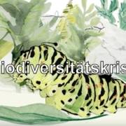 biodiversitaet.