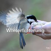 Foto: Werner Sigrist